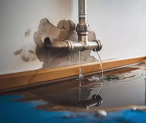 Professional Water Damage Restoration Experts in Garden City, ID — Fast, Reliable & Certified
