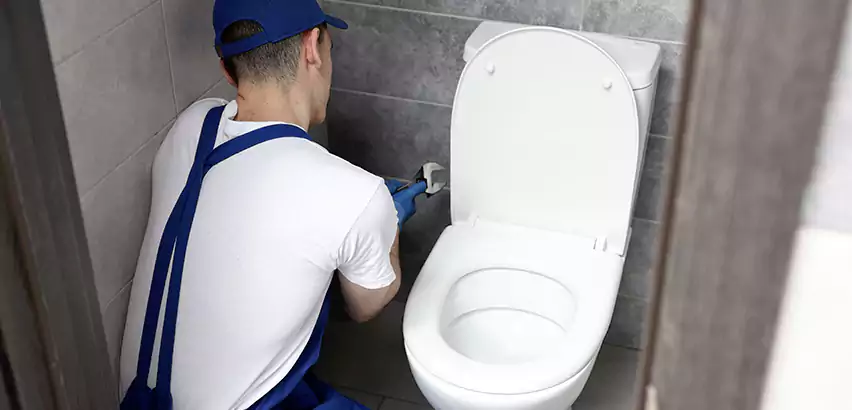 Toilet Lid Replacement in Garden City