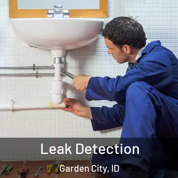  Leak Detection Garden City, ID