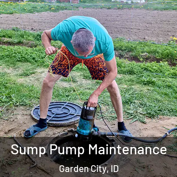  Sump Pump Maintenance Garden City, ID