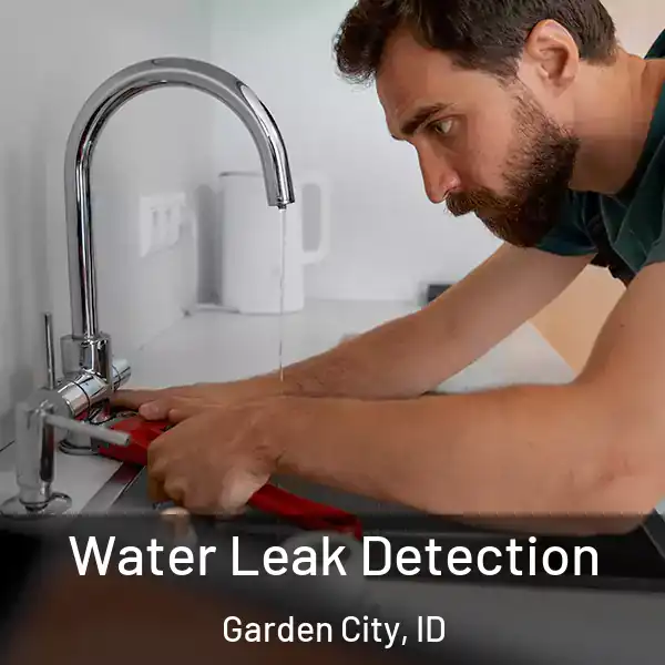 Water Leak Detection Garden City, ID